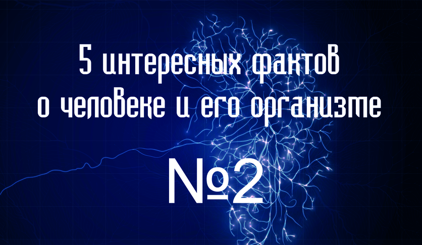 5 интересных фактов о человеке и его организме №2